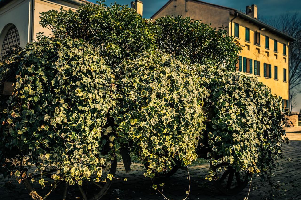 Le Vigne Morosina Cessalto Exterior foto