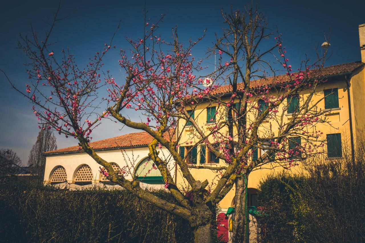 Le Vigne Morosina Cessalto Exterior foto